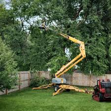 How Our Tree Care Process Works  in Loxahatchee Groves, FL